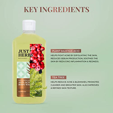 Just Herbs Tea Tree Anti - Acne Body Wash with Plant Salicylic Acid for Men & Women 300 ml